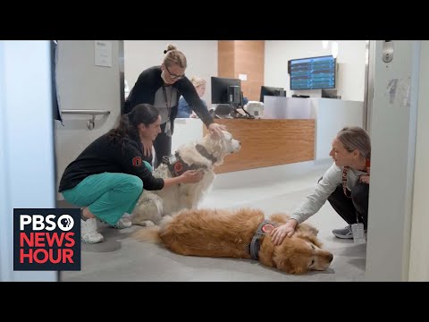 Rejuvenating the Mind: Addressing Nurse Burnout Through Psychology