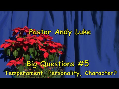 Insights into Temperament and Character in Psychology