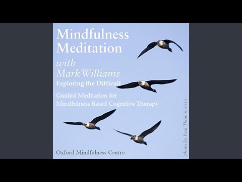 Cultivating Mindfulness: Mark Williams' Insights in Psychology