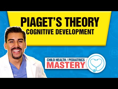 Cognitive Development Insights from Piaget's Theoretical Framework