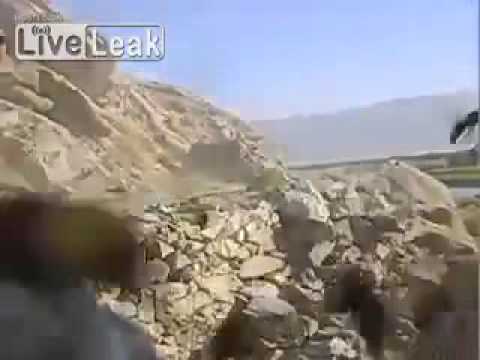 Phobia of Wasps: Psychological Insights into Spheksophobia