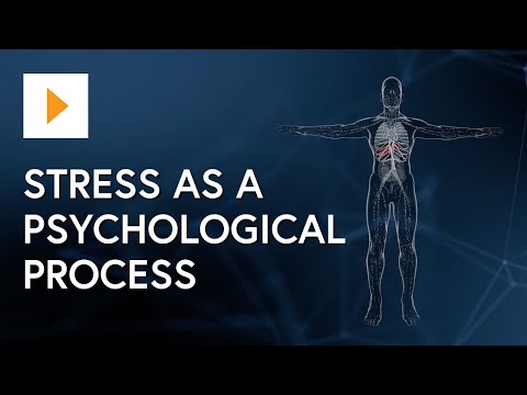 Coping with Everyday Stress: Psychological Perspectives