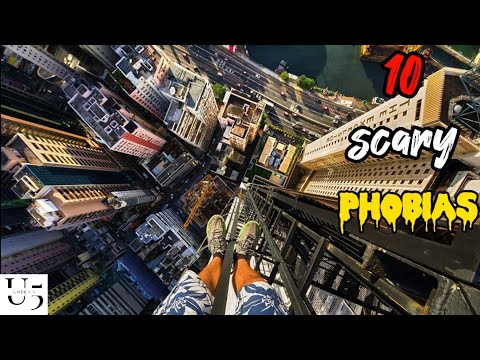 Quirky Fears: A Journey Through Unusual Phobias in Psychology