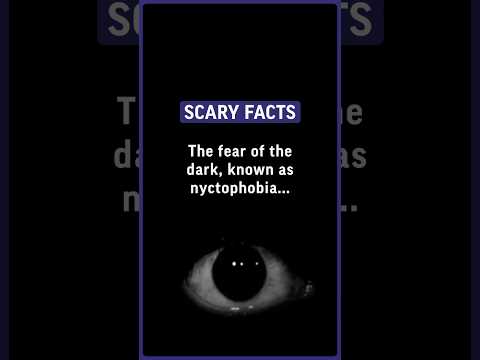 Confronting Nyctophobia: Insights into Fear of the Dark