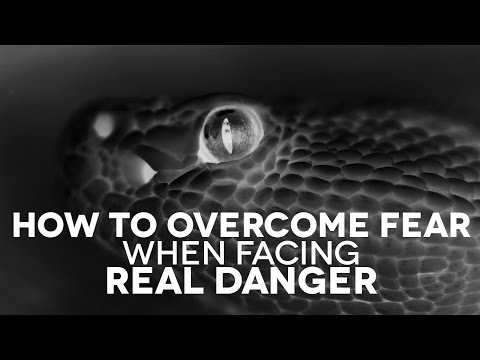 Confronting Thunderstorm Phobia Through Psychological Insights