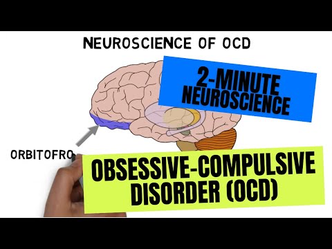 Understanding the Psychological Dimensions of OCD