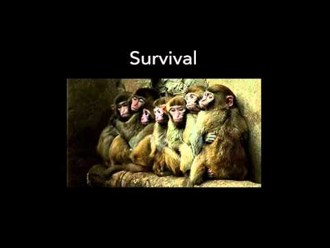 The Power of Touch: Psychological Insights on Affectionate Bonds