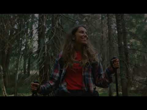 Motivation's Dual Forces: Intrinsic vs Extrinsic Drives in Psychology