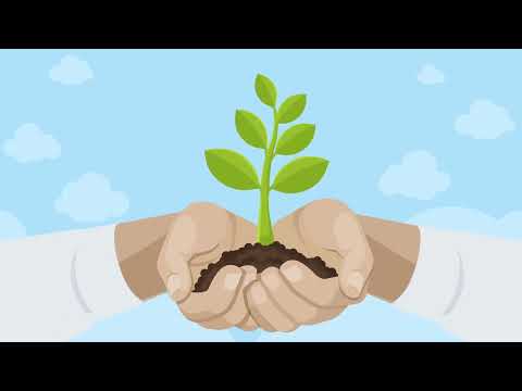 Enhancing Workplace Wellbeing Through Psychological Insights