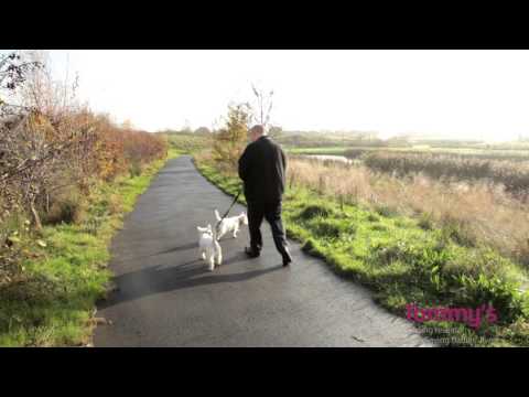 Maternal Mind: Understanding Antenatal Depression in Psychology