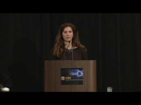 Mind and Brain: Interplay of Psychology and Neuroscience