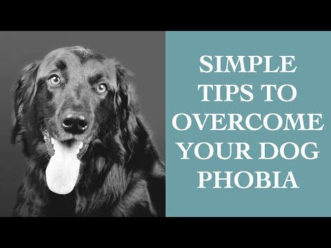Overcoming Canine Phobia: A Psychological Perspective