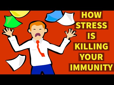 The Connection Between Stress and Immune Function in Psychology