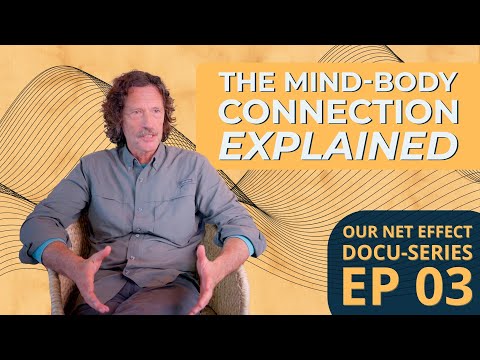 Biological Psychology: The Mind-Body Connection Explored