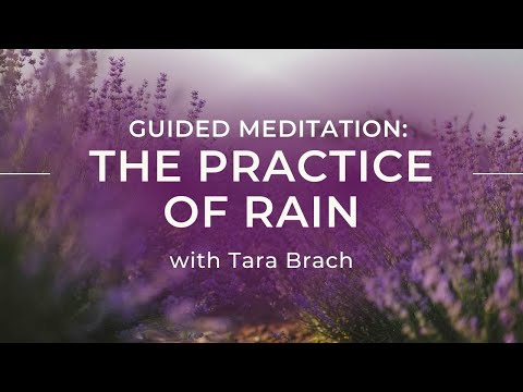 Tara Brach's Rain: Emotional Healing Through Mindfulness
