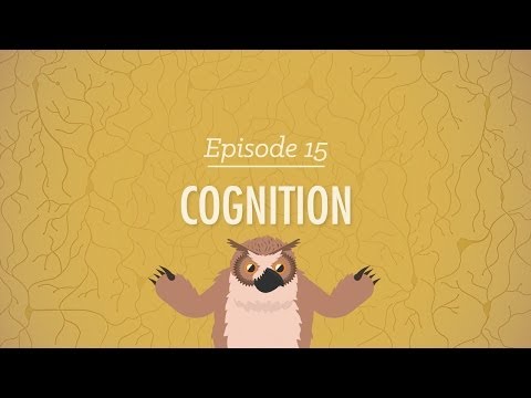 Cognitive Processes: Insights from Psychology's Core Concepts