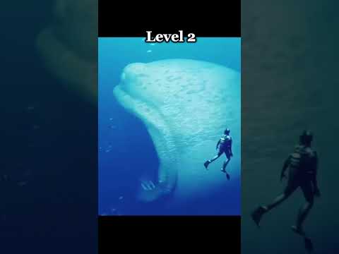 Confronting Megalophobia: A Psychological Perspective