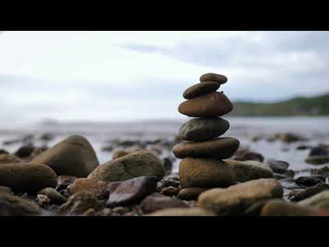 Healing Minds Through Nature's Embrace in Therapy