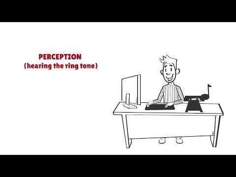 Cognitive Skills and Their Role in Psychological Functioning