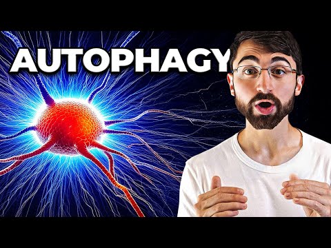 Coping with Recurrent Depression: Insights from Psychology