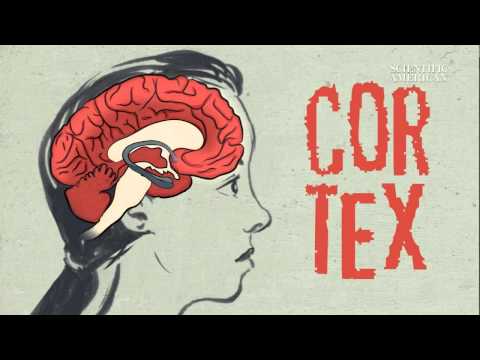 Shifting Consciousness: The Psychological Effects of Meditation