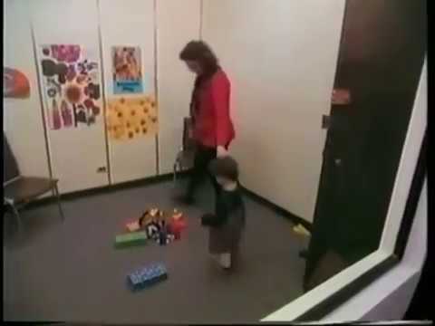 Disorganized Attachment Theory in Child Development and Psychology