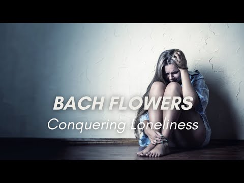 Navigating the Emotional Landscape of Loneliness Day