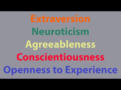 Understanding Personality: The Big Five Traits in Psychology
