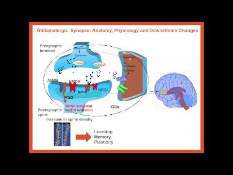 Psychological Approaches to Treating Major Depression
