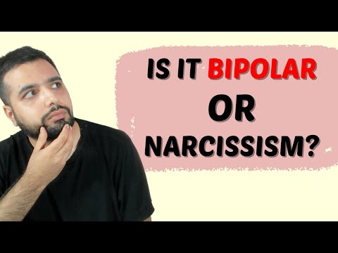 Understanding the Dynamics of Narcissism and Bipolarity