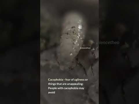 Cacophobia: Unpacking the Fear of Ugly and Unsightly Things