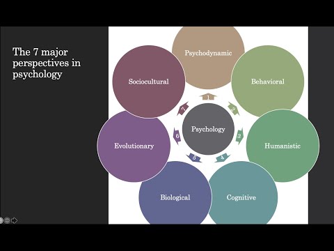 Understanding Psychological Perspectives on Body Image