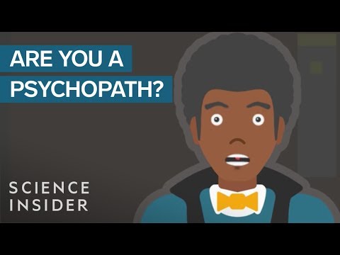Evaluating Personality Traits with the IDRlabs Psychopath Test