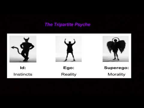 Freud's Influence on Modern Psychological Thought and Practice