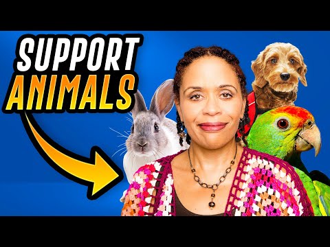 Emotional Support Animal Letters and Their Psychological Benefits