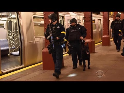 Common Psychological Fears and Their Impact on Wellbeing