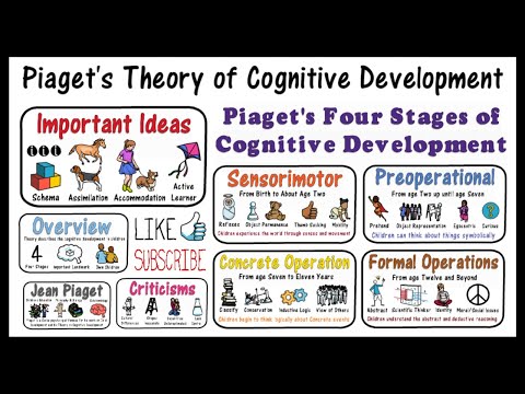 Cognitive Development Through Piaget's Theoretical Lens
