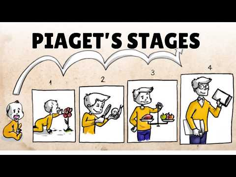 Cognitive Development Stages in Piaget's Psychological Theory