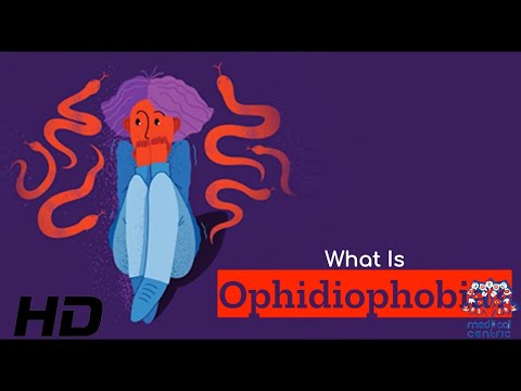 The Psychological Roots of Ophidiophobia and Its Effects