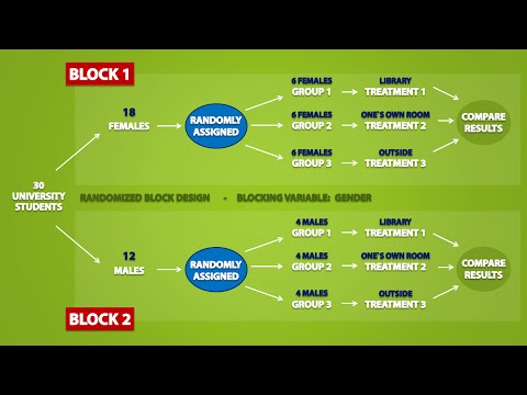 Innovative Approaches in Psychology through Experimental Design