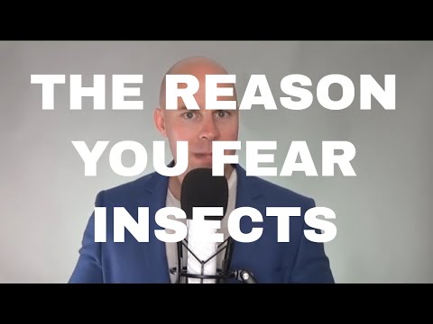 Fear of Bugs: A Psychological Perspective على Insect Phobia