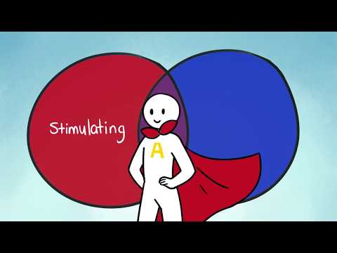 Personality Insights: The Introvert-Extrovert Spectrum Test