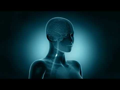 Workplace Stress: Psychological Insights for Health and Safety