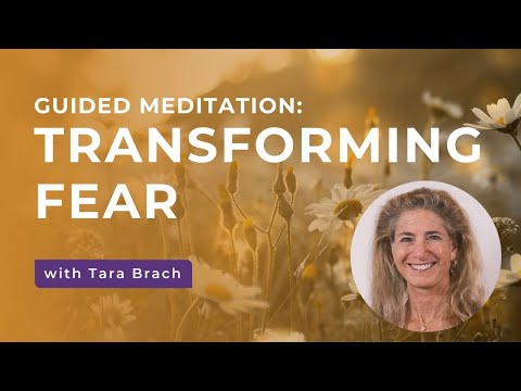 Tara Brach's Meditation Approach to Psychological Healing