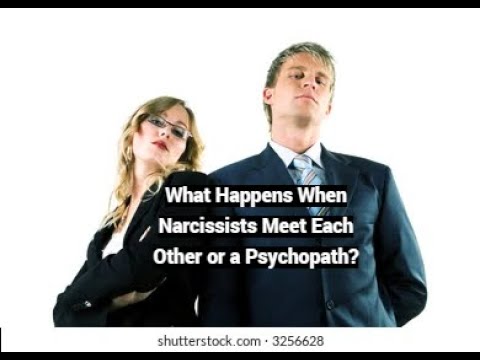 Unraveling Psychopathic Narcissism in Psychological Discourse