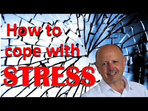 Coping with EU Stress: Psychological Insights and Strategies